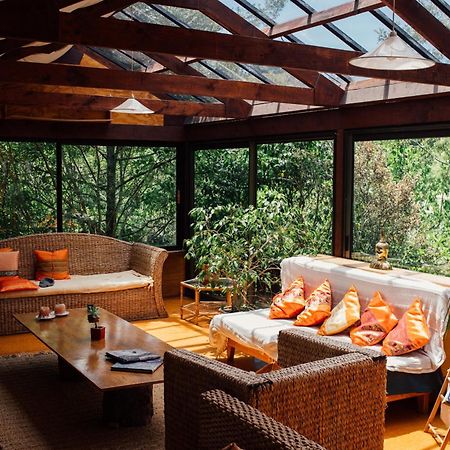 Kawai Purapura Yoga Retreat Centre Ξενοδοχείο Όκλαντ Εξωτερικό φωτογραφία