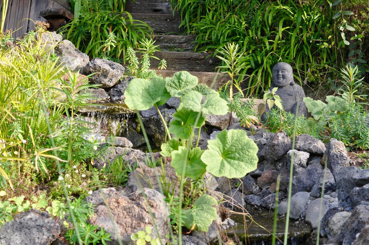 Kawai Purapura Yoga Retreat Centre Ξενοδοχείο Όκλαντ Εξωτερικό φωτογραφία
