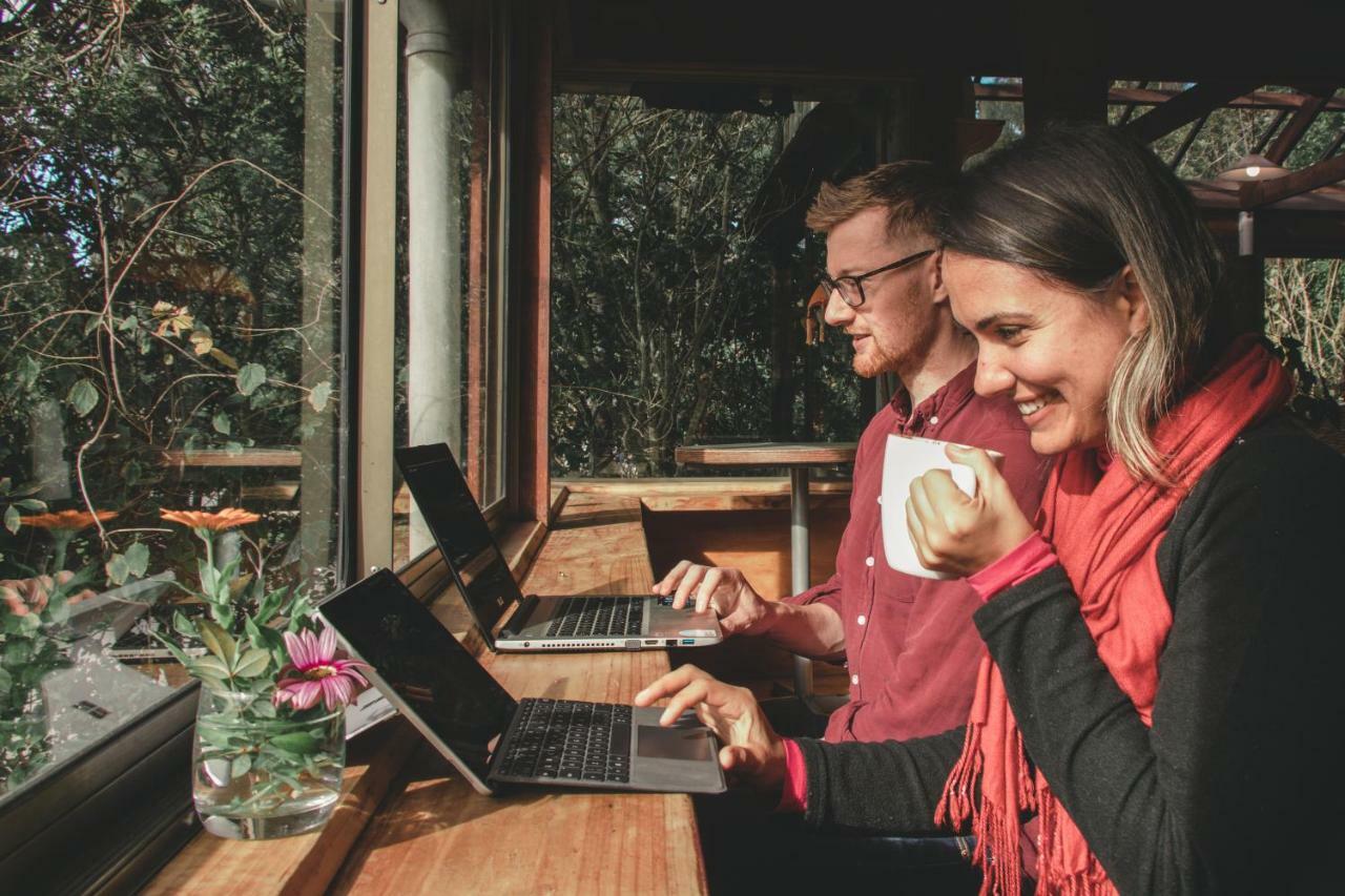 Kawai Purapura Yoga Retreat Centre Ξενοδοχείο Όκλαντ Εξωτερικό φωτογραφία