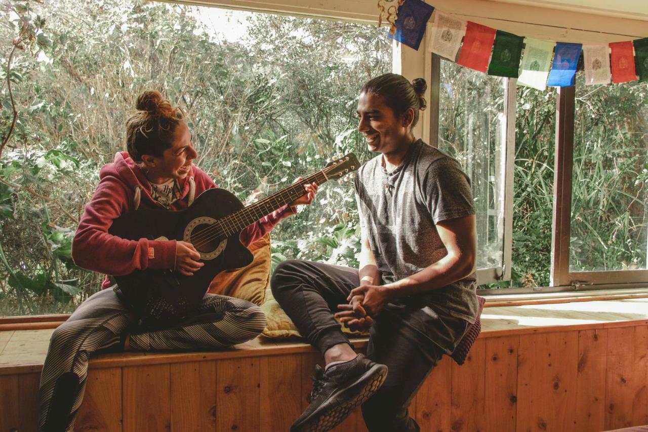 Kawai Purapura Yoga Retreat Centre Ξενοδοχείο Όκλαντ Εξωτερικό φωτογραφία