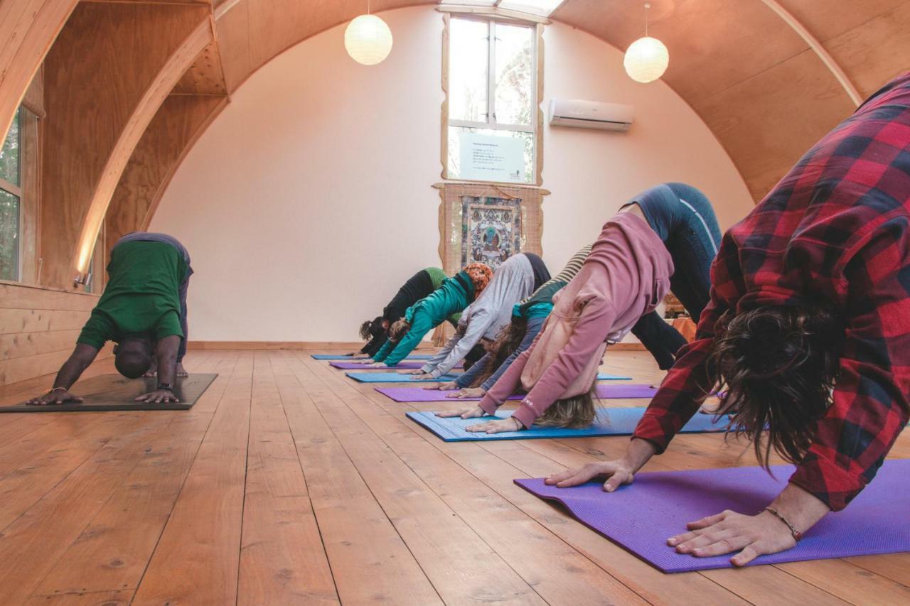 Kawai Purapura Yoga Retreat Centre Ξενοδοχείο Όκλαντ Εξωτερικό φωτογραφία